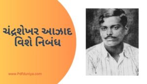 Chandra Shekhar Azad Essay in Gujarati ચંદ્રશેખર આઝાદ વિશે નિબંધ ગુજરાતીમાં 200, 300, શબ્દો.