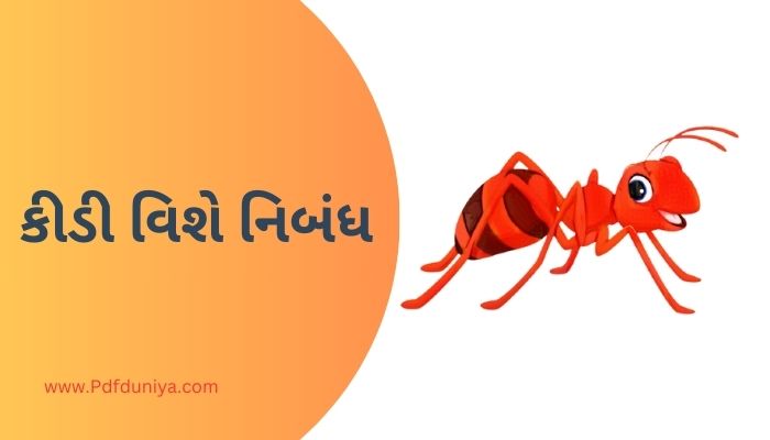 Ants Essay in Gujarati કીડી વિશે નિબંધ ગુજરાતીમાં.